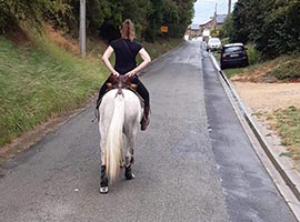 Ecuries des Terres du Nord Ciney