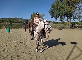 Ecuries des Terres du Nord somme-leuze