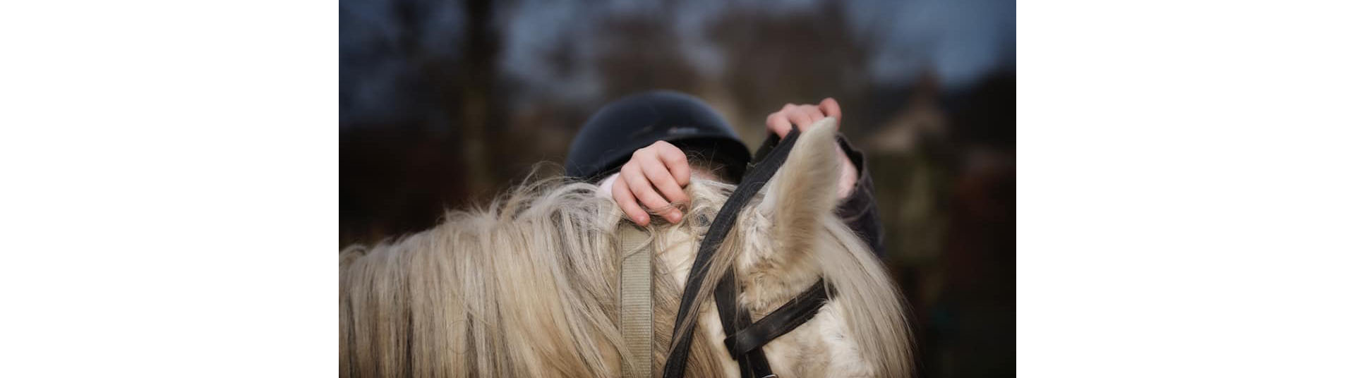 Amandine ou l'amour du cheval