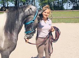 débourrage chevaux somme-leuze