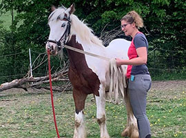 débourrage poney sinsin