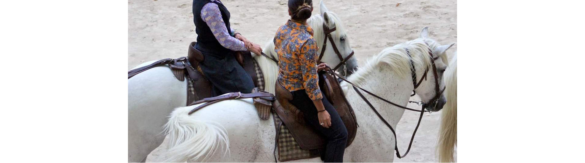 Equitation de travail