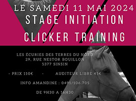 Evenements aux écuries des terres du nord à Sinsin