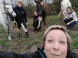 cours de travail à pied - cheval liberté somme-leuze