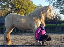 cours de travail à pied - cheval liberté Ciney