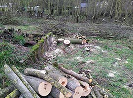 Piste équitation libre accès chien Ciney
