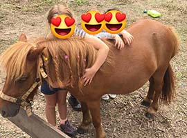 équitation adaptée Marche-en-Famenne