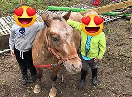 cours d'équitation adaptée somme-leuze