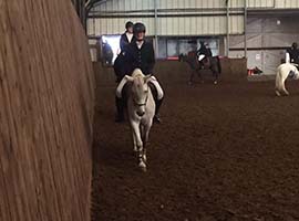 Dressage, équitation Ciney