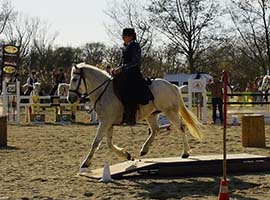 Dressage somme-leuze