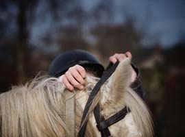 Equitation, cours de dressage sinsin