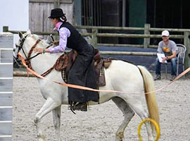 équitation camargue somme-leuze