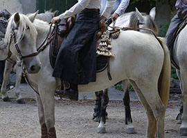 Cours équitation de travail sinsin