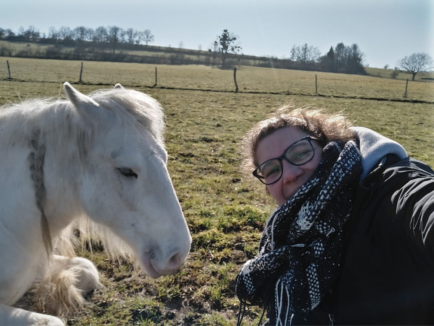 Pension éthologique pour chevaux à Sinsin